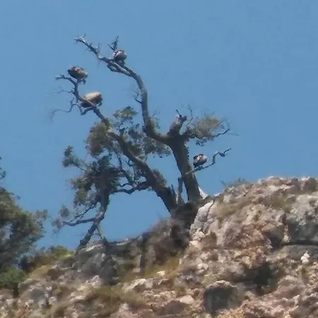 Apartamento Milenka *