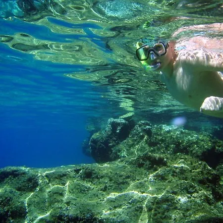 Milenka Apartamento *